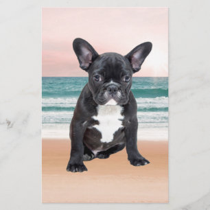 Cute French Bulldog Beach Sun Water Stationery
