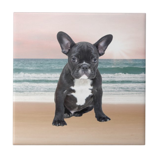 Cute French Bulldog Beach Sun Water Tile (Front)