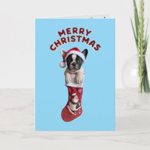 Cute French Bulldog Christmas  Card