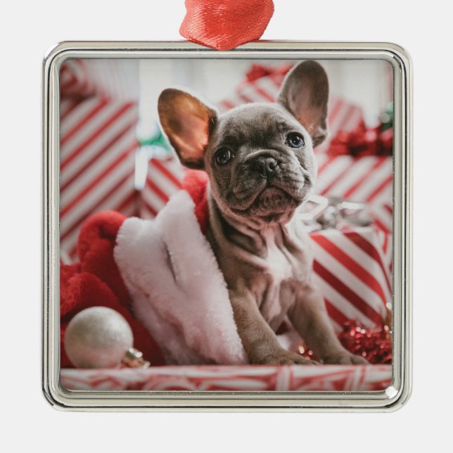 Cute French Bulldog Christmas Ornament (Front)