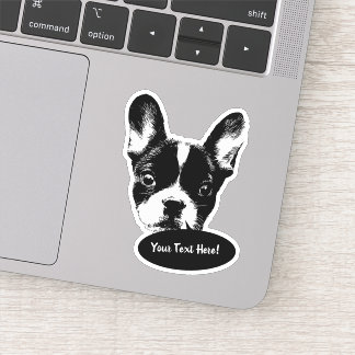 Cute French Bulldog Dog Talk