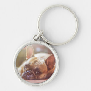 Cute French Bulldog Face, Lying Down Key Ring