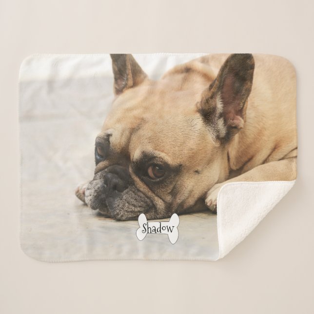 Cute French Bulldog Frenchie Puppy Name Bone Sherpa Blanket (Front (Horizontal))