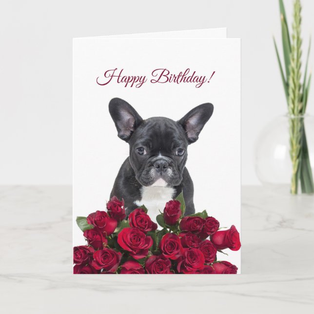Cute French Bulldog Happy Birthday Red Roses Card (Front)