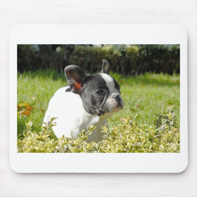 Cute French bulldog on grass Mouse Mat (Front)