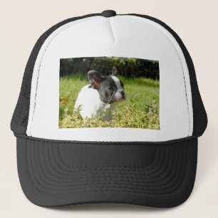 Cute French bulldog on grass Trucker Hat