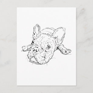 Cute French Bulldog Postcard