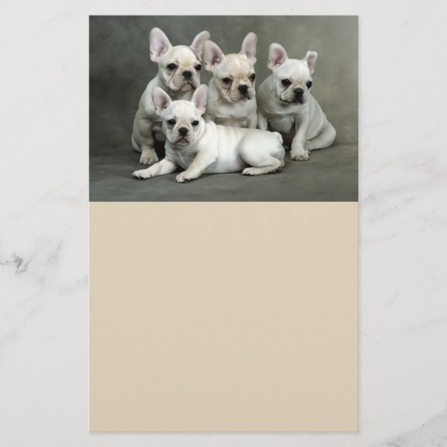 Cute French Bulldog Puppies Flyer (Front)