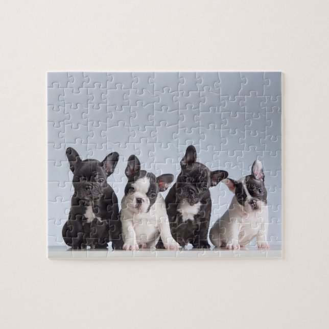 Cute French Bulldog Puppies Jigsaw Puzzle (Horizontal)