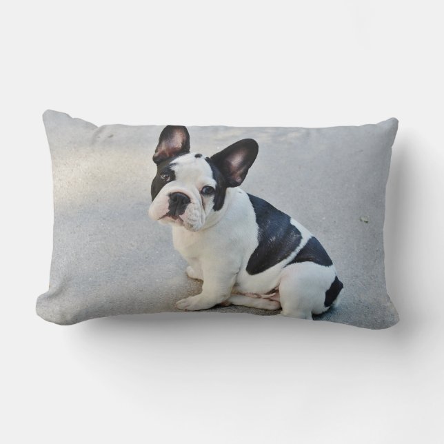 Cute French Bulldog Puppy black white Lumbar Cushion (Front)