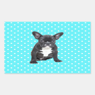 Cute French Bulldog Puppy Blue Polka Dots Rectangular Sticker
