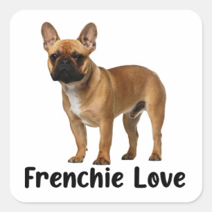 Cute French Bulldog Puppy Dog Frenchie Love Square Sticker