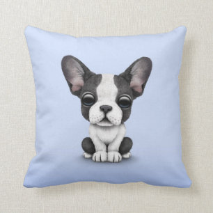 Cute French Bulldog Puppy Dog on Light Blue Cushion