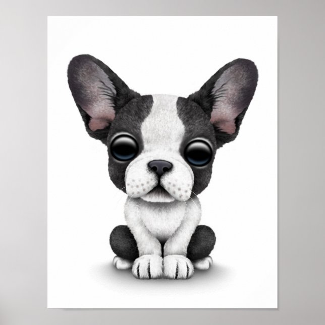 Cute French Bulldog Puppy Dog on White Poster (Front)