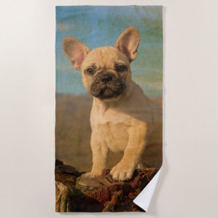 Cute French Bulldog Puppy - Funny Dog Head Photo / Beach Towel