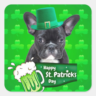 Cute French Bulldog Puppy Hat St. Patrick Day Square Sticker
