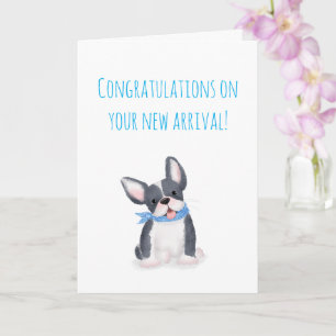 Cute French bulldog puppy new pet card