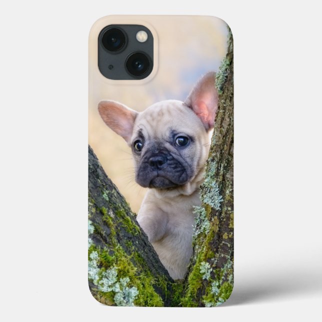 Cute French Bulldog Puppy Posing in a Branch Fork  Case-Mate iPhone Case (Back)