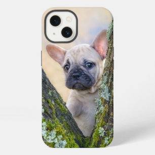 Cute French Bulldog Puppy Posing in a Branch Fork iPhone 13 Case