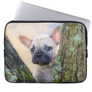 Cute French Bulldog Puppy Posing in a Branch Fork Laptop Sleeve
