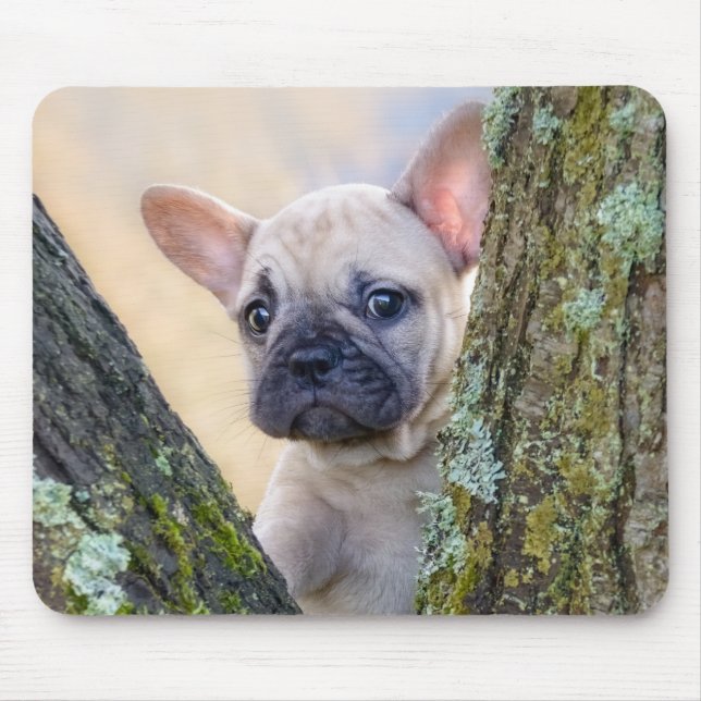 Cute French Bulldog Puppy Posing in a Branch Fork Mouse Mat (Front)