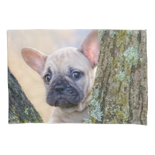 Cute French Bulldog Puppy Posing in a Branch Fork Pillowcase