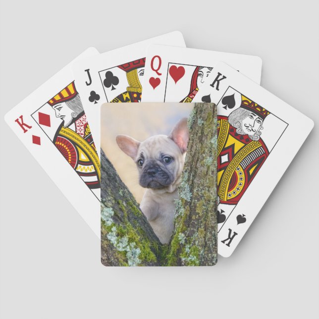 Cute French Bulldog Puppy Posing in a Branch Fork Playing Cards (Back)