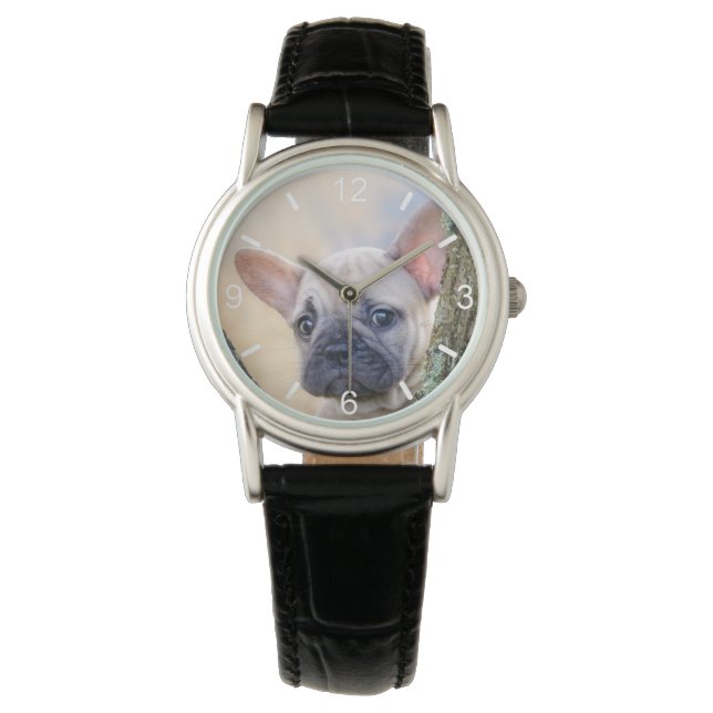 Cute French Bulldog Puppy Posing in a Branch Fork  Watch (Front)