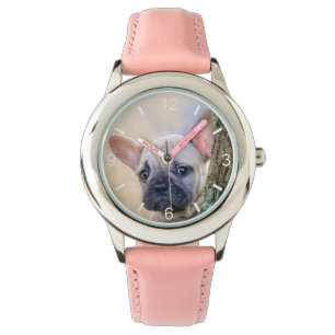 Cute French Bulldog Puppy Posing in a Branch Fork Watch