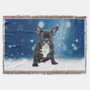 Cute French Bulldog Puppy Snow Stars Blue Blanket
