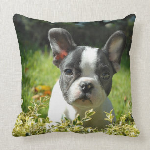 Cute French Bulldog Puppy Throw Pillow