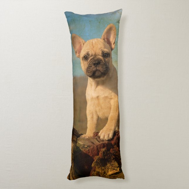 Cute French Bulldog Puppy, Vintage, cuddly Body Cushion (Back (Vertical))