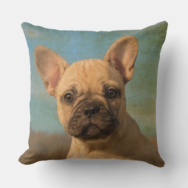Cute French Bulldog puppy, vintage Cushion (Front)