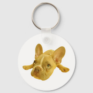 Cute French Bulldog Puppy White Round Keychain