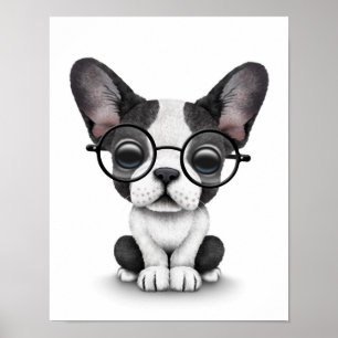 Cute French Bulldog Puppy with Glasses, white Poster