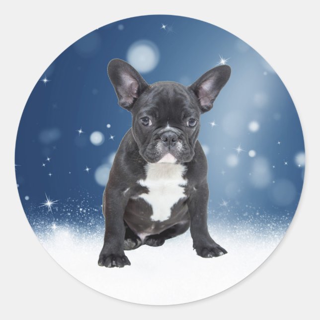Cute French Bulldog Snow Stars Blue Christmas Classic Round Sticker (Front)