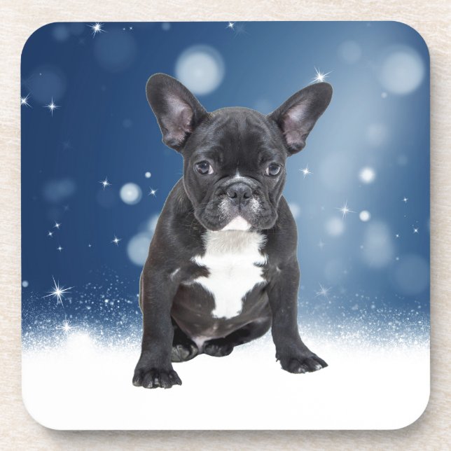 Cute French Bulldog Snow Stars Blue Christmas Coaster (Front)