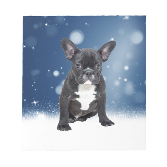 Cute French Bulldog Snow Stars Blue Christmas Notepad (Front)