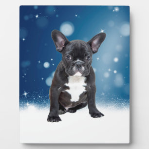 Cute French Bulldog Snow Stars Blue Christmas Plaque
