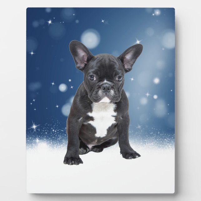 Cute French Bulldog Snow Stars Blue Christmas Plaque (Front)