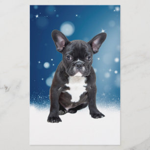 Cute French Bulldog Snow Stars Blue Christmas Stationery