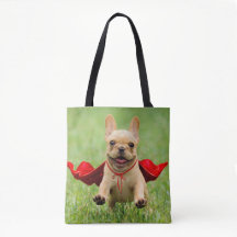Cute French Bulldog Superhero Runs in Grass
