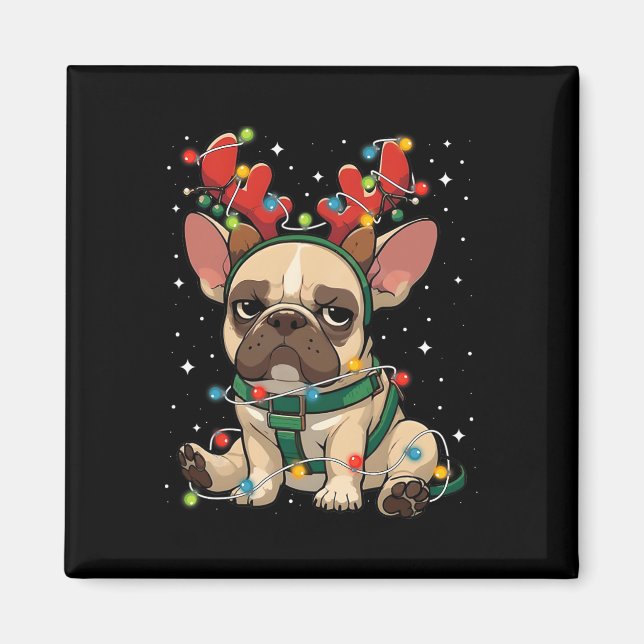 Cute French Bulldog Tangled Up In Christmas Lights Magnet (Front)