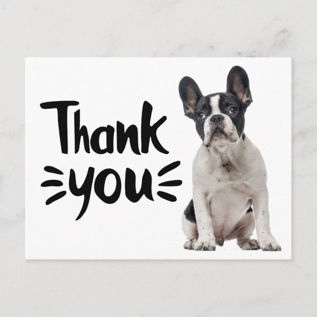 Cute French Bulldog Thank You Frenchie Puppy Dog Postcard (Front)
