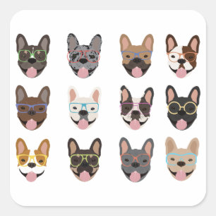 Cute French Bulldogs Wearing Glasses Square Sticker