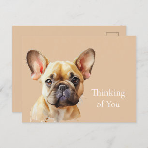 Cute Frenchie thinking of you Postcard