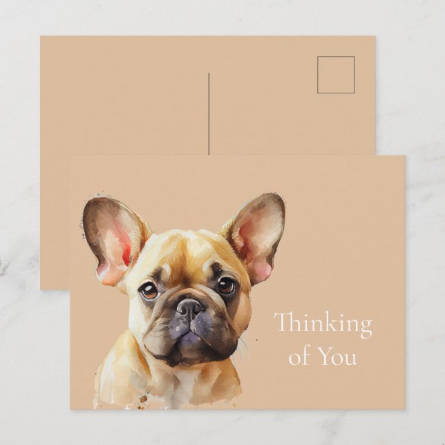 Cute Frenchie thinking of you Postcard (Front/Back)