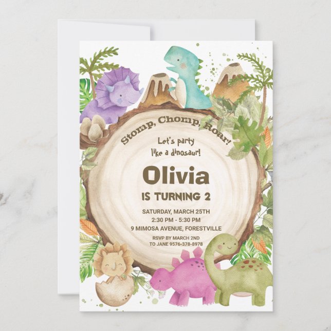 Cute Friendly Dinosaurs Girl 1st Birthday Party Invitation (Front)