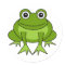 Cute Frog Cartoon - Prince in Training