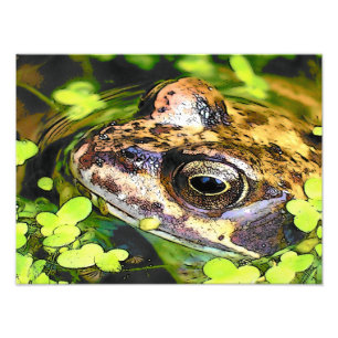 CUTE FROG PHOTO PRINT